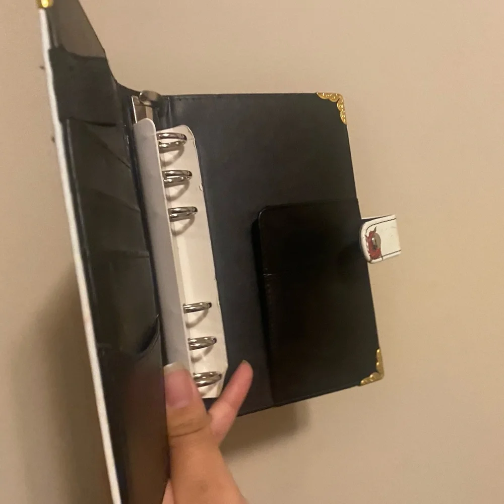 Vintage Skull Budget Binder